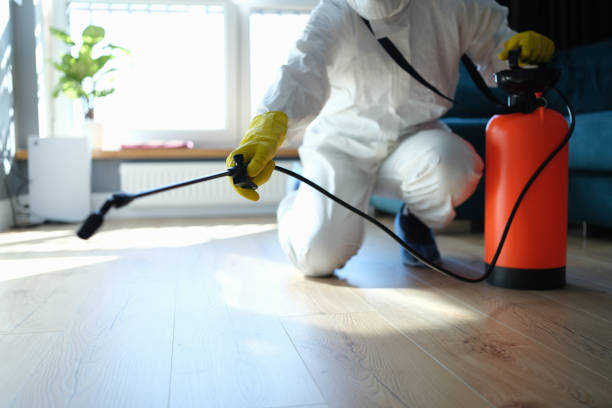Reliable Odor Removal contractor in Winnebago, IL by Trauma Clean Pros